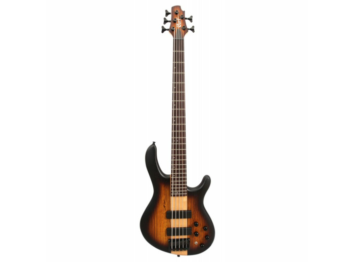 Basse cort c5h plus zebra, erable burst