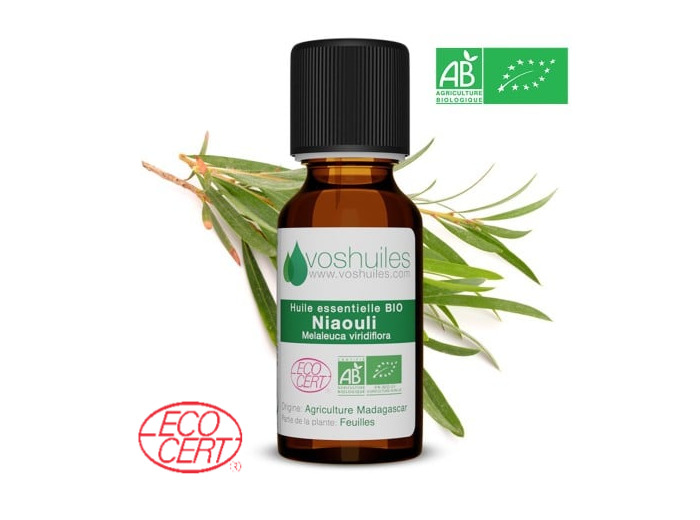 Huile Essentielle BIO de Niaouli