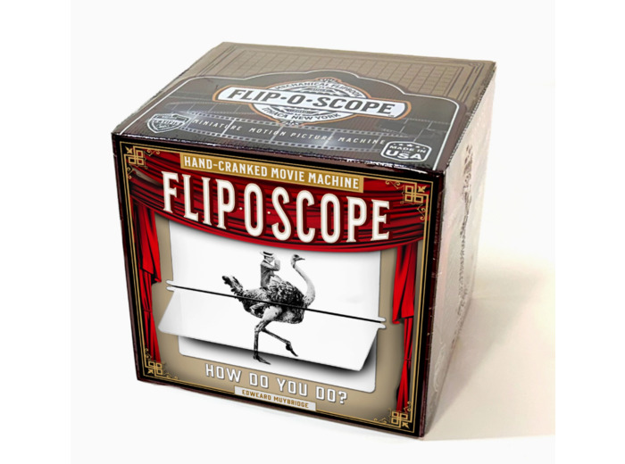 FLIPOSCOPE HOW DO YOU DO ?