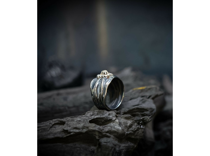 Geologic Stones Collection