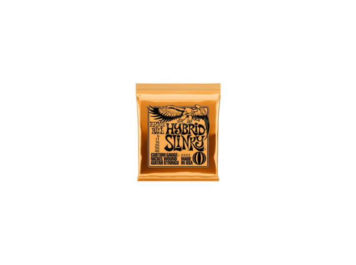 Ernie ball cordes elec 09-46