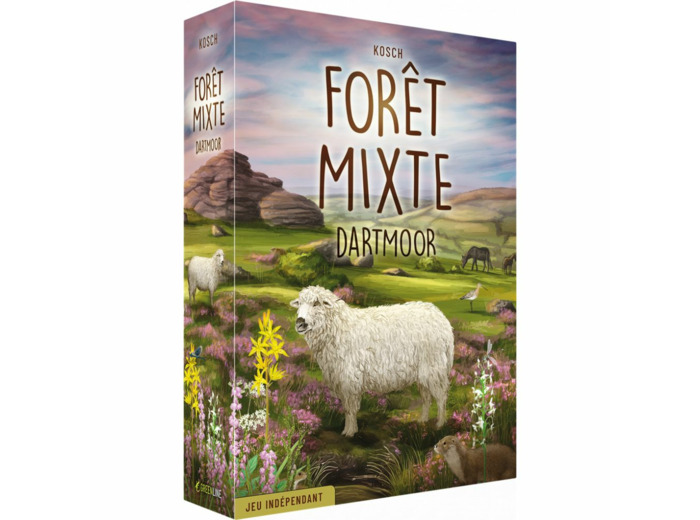 Forêt mixte : dartmoor