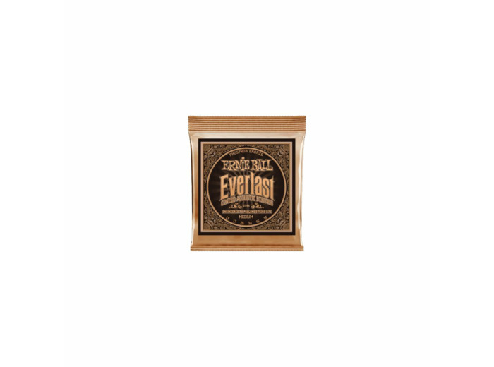 Ernie ball cordes folk everlast 13-56
