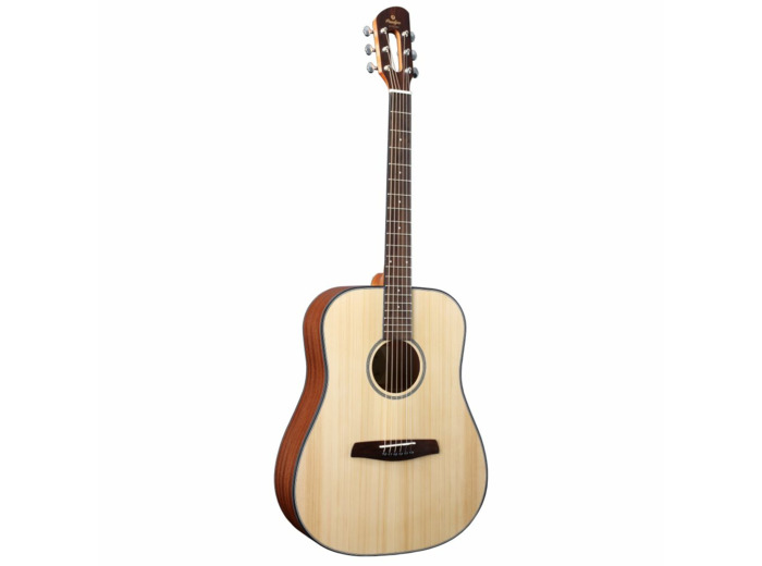Prodipe guitare folk sd50s