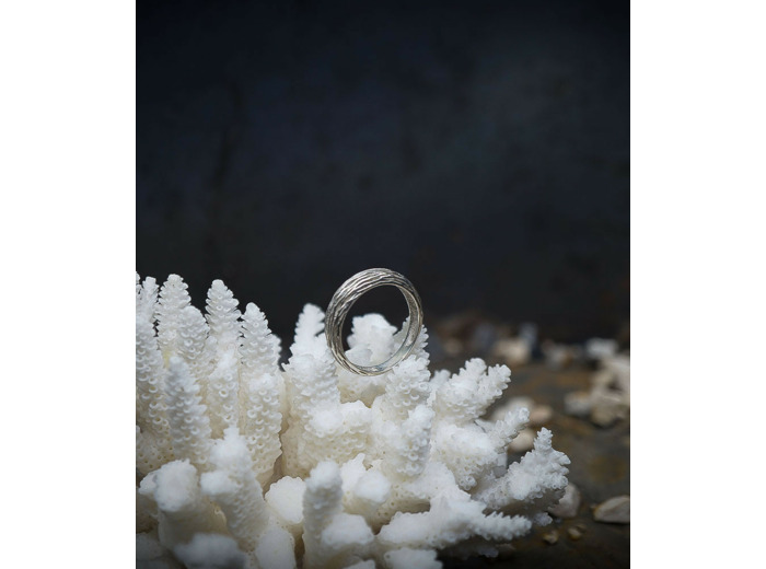 Lovely Storm Collection