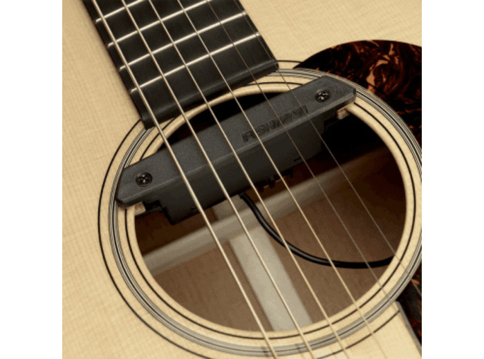 Fishman micro rosace guitare folk