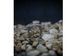 Héphaïstos Stones Collection