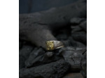 Geologic Collection