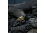 Geologic Collection
