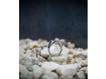 Lovely Storm Collection