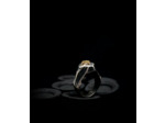 Geologic Stones Collection
