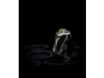 Geologic Stones Collection