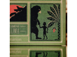 Le livre de la jungle: Illustré et animé par MinaLima