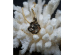 Lovely Storm Collection