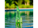 Gel d'Aloe Vera 99% - Soin apaisant et hydratant 260 ml | Sans paraben, silicone, ni sulfate