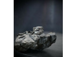 Héphaïstos Collection
