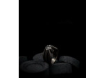 Geologic Stones Collection