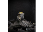 Geologic Stones Collection