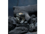 Geologic Stones Collection