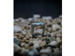 Geologic Stones Collection