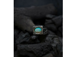 Geologic Stones Collection