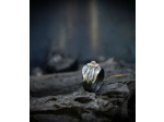Geologic Stones Collection