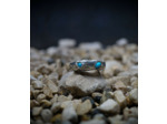 Geologic Stones Collection