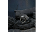 Geologic Stones Collection