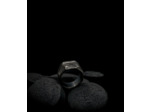 Geologic Collection
