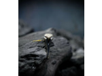 Héphaïstos Stones Collection