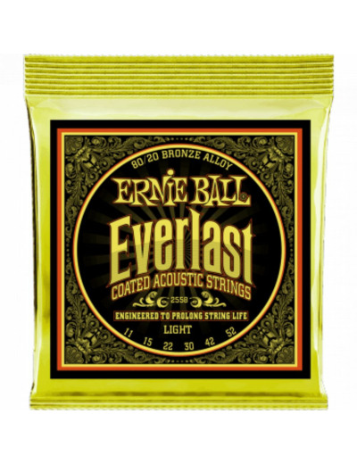 Ernie ball jeu cordes folk 11-52