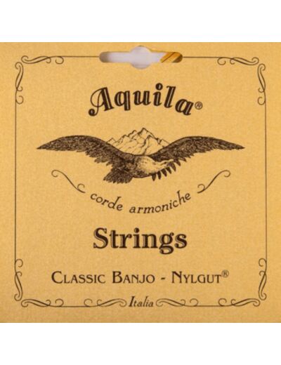 Aquila jeu cordes banjo