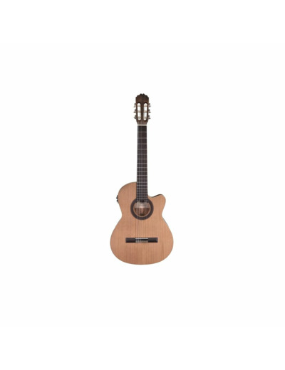 Prodipe guitare electro classique slim