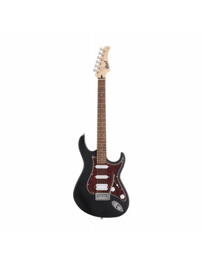 Guitare cort g110 noir pores ouverts