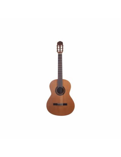 Prodipe guitare classique student 4/4