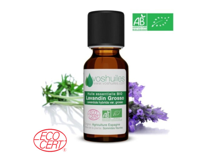 Huile Essentielle BIO de Lavandin Grosso