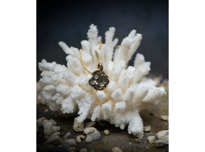 Lovely Storm Collection