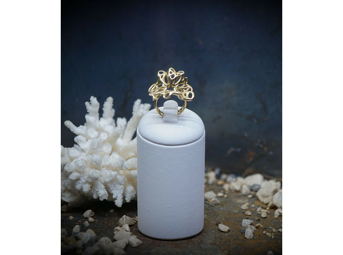 Lovely Storm Collection