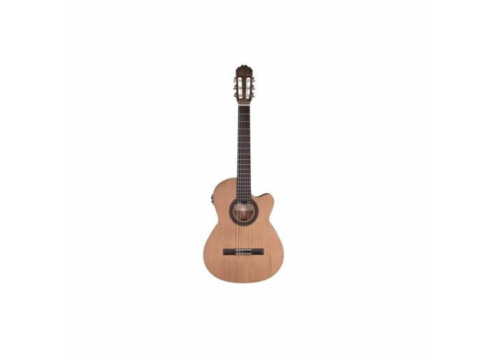 Prodipe guitare electro classique slim