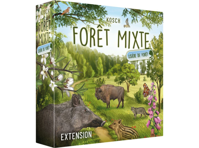 Forêt mixte : lisière de forêt (extension)