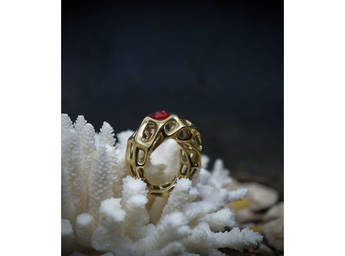 Lovely Storm Collection