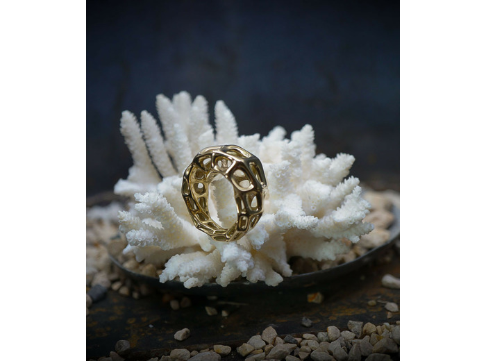 Lovely Storm Collection