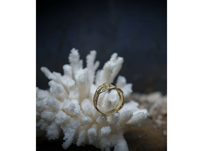 Lovely Storm Collection