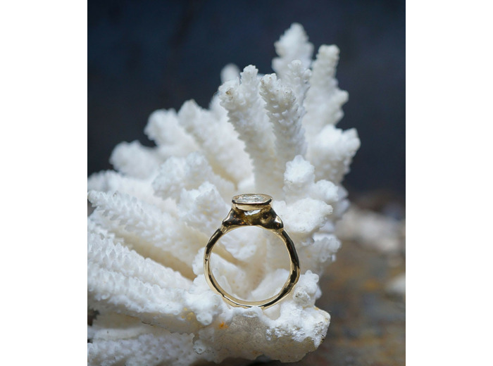 Lovely Storm Collection