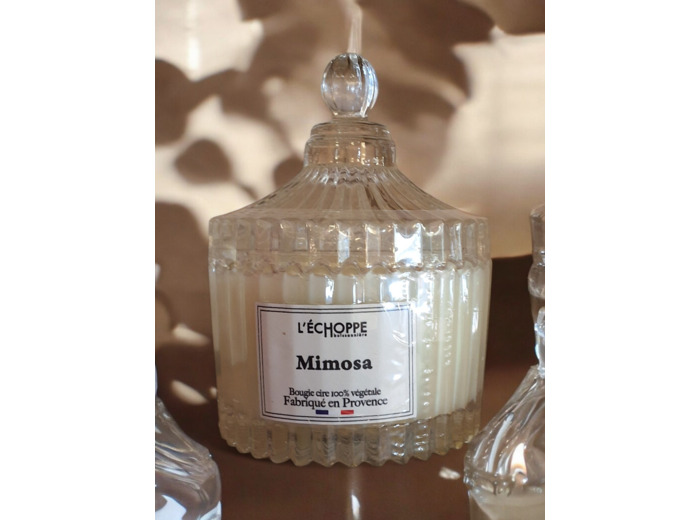 Bougie parfumée Mimosa