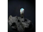 Geologic Stones Collection
