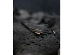 HéphaÏstos Stones Collection