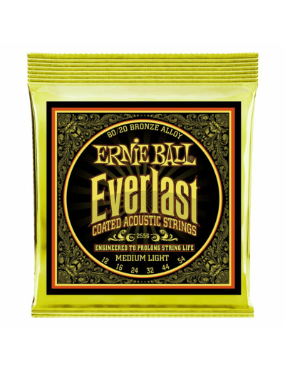 Jeu de cordes folk ernie ball everlast medium light