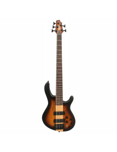 Basse cort c5h plus zebra, erable burst