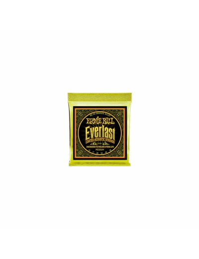 Ernie ball cordes folk medium everlast